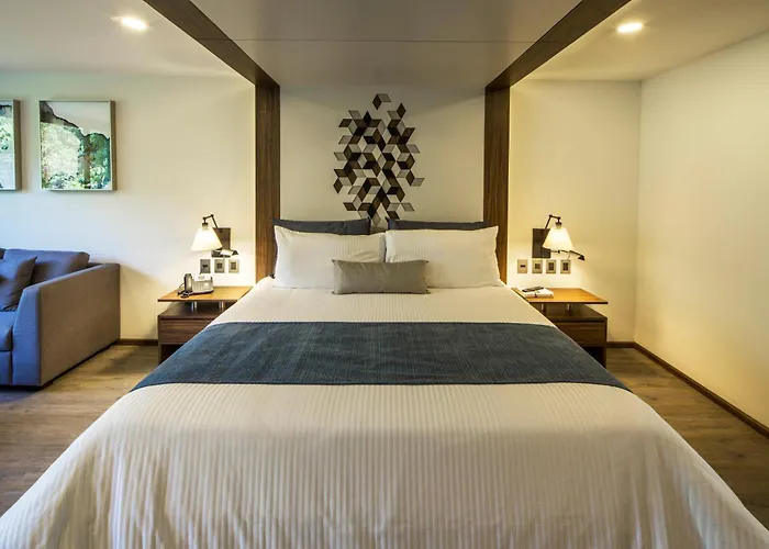 Hotel Flow Condesa - Adults Only