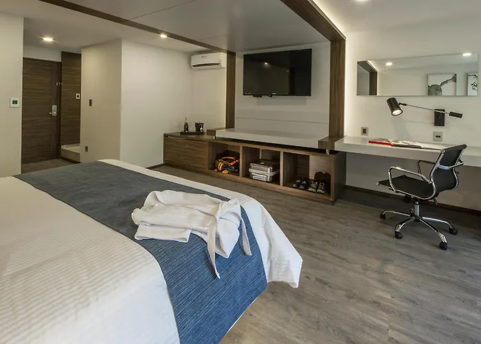 Hotel Flow Condesa - Adults Only