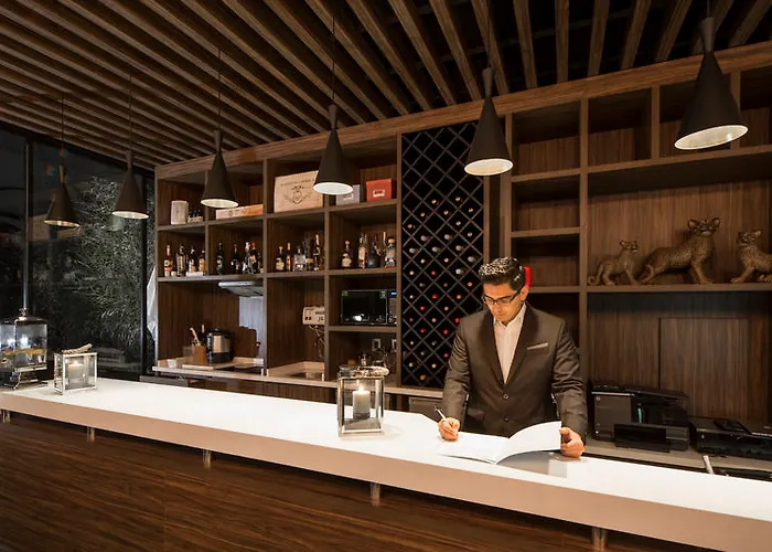 Flow Condesa - Adults Only Mexico City